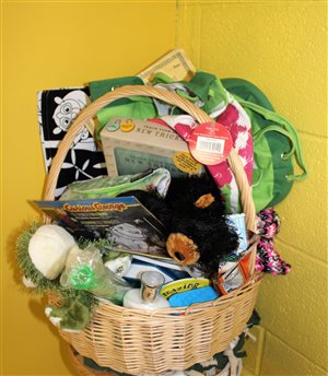 The Reward Basket...students can pick a gift after they earn 50 Practice Points.